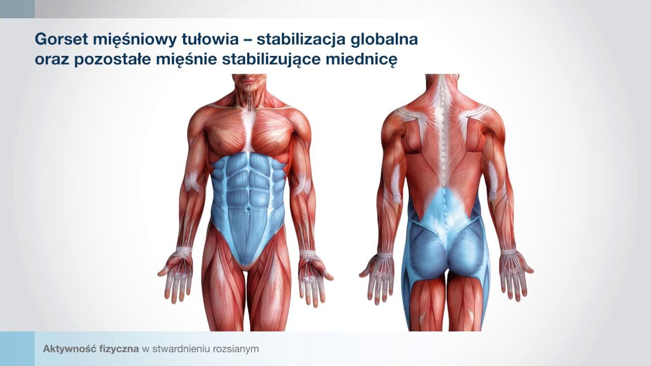 Aktywność fizyczna w stwardnieniu rozsianym – część 1: teoria